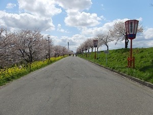 15さくら公園.jpg