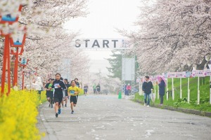 20250412_桜マラソン大会_0082.jpg
