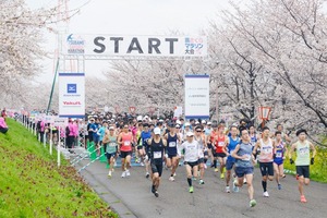 20250412_桜マラソン大会_0252.jpg