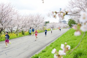 20250412_桜マラソン大会_0383.jpg