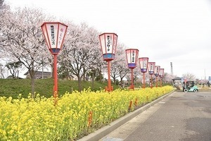 20250413_񓹒_00.JPG