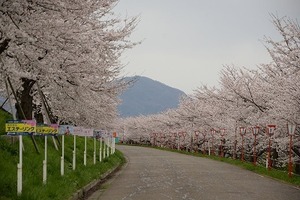20250413_񓹒_04.JPG