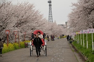 20250413_񓹒_05.JPG