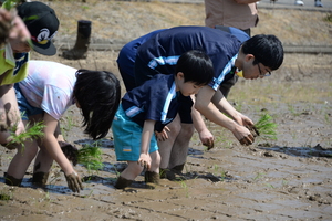 20250503_CXt@[cA_2267.JPG