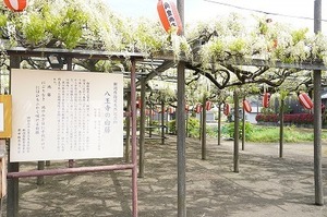 20250504_ƔiO炫j_0275.jpg