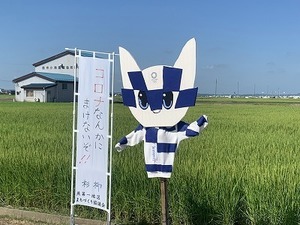かかし(燕第一まち協) (8).jpg