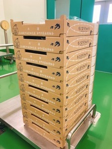 きゅうり納品 (3).jpg