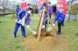 まちあそび部桜植樹 (16).jpg