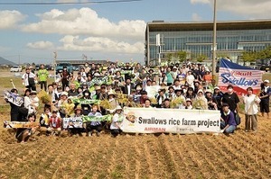 スワローズ稲刈り (17).jpg