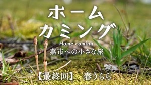 ホームカミング〜燕市への小さな旅〜【春うらら】.jpg