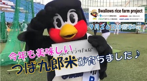 ライスファーム動画(サムネ・もと).jpg