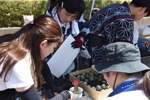 多肉植物.jpg