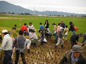 昨年の様子.jpg