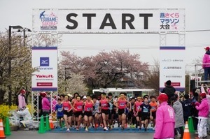 燕さくらマラソン大会 (1).jpg