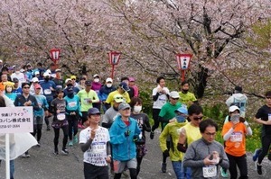 燕さくらマラソン大会 (5).jpg