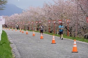 燕さくらマラソン大会 (6).jpg